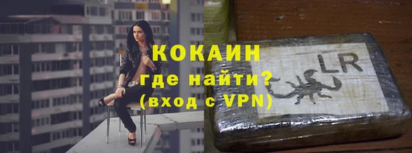 сатива Балахна