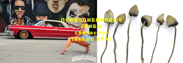 сатива Балахна