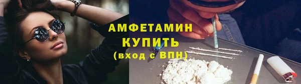сатива Балахна