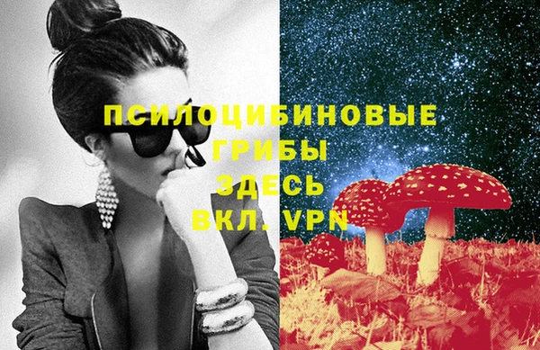 сатива Балахна