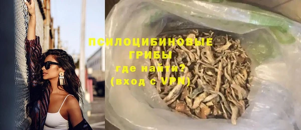 сатива Балахна