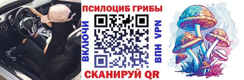 ссылка на мегу сайт  Тырныауз  Галлюциногенные грибы MAGIC MUSHROOMS 